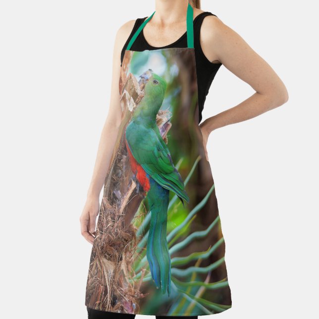 Atemberaubender australischer König Papagei Klette Schürze (InSitu)