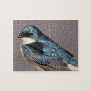Atemberaubender Baumschlamm Songbird auf dem Wirt