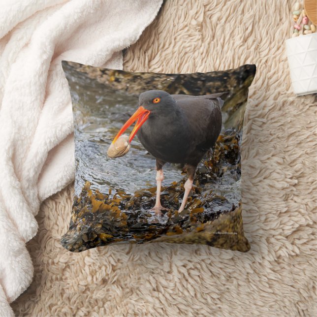 Atemberaubender Black Oystercatcher Shorebird mit  Kissen (Decke)