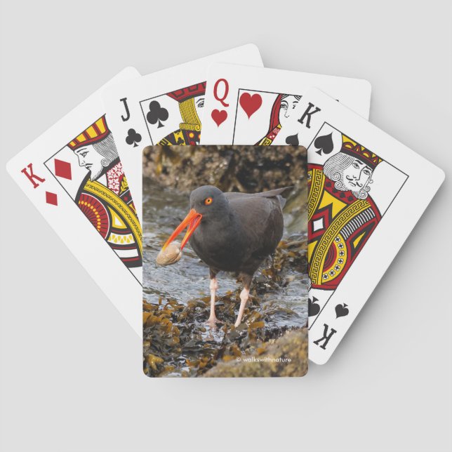 Atemberaubender Black Oystercatcher Shorebird mit  Spielkarten (Rückseite)