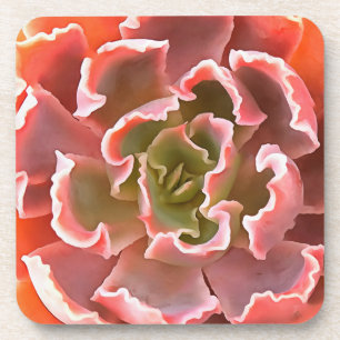 Atemberaubender Garten Sukkuline Rosa Töne Kunst, Getränkeuntersetzer