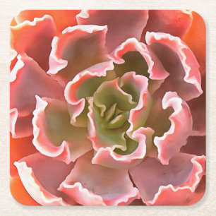 Atemberaubender Garten Sukkuline Rosa Töne Kunst, Rechteckiger Pappuntersetzer