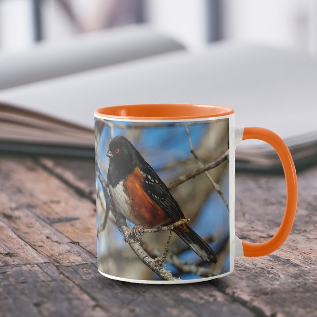 Atemberaubender Gepunkteter Towhey Songbird auf de Tasse (Spotted Towhee on Branch 11 oz Coffee Mug Cover Photo.)