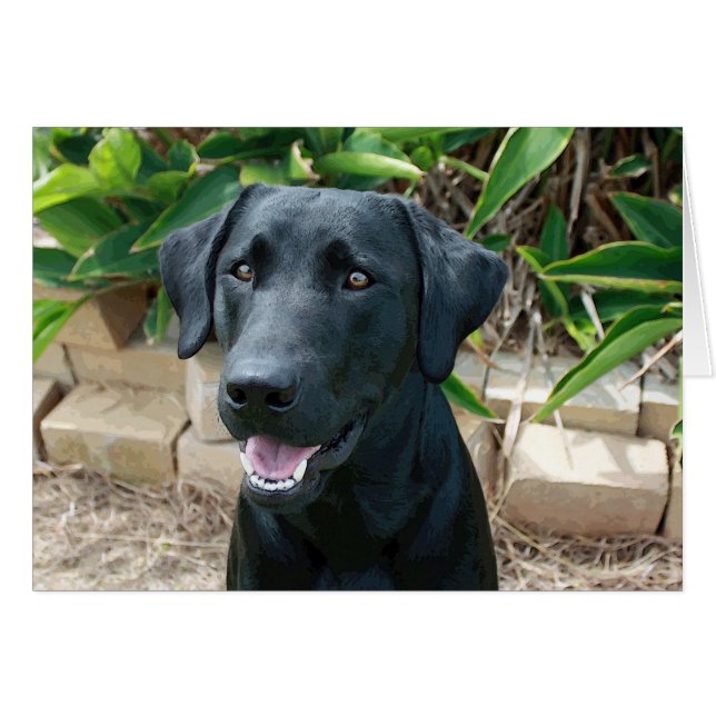 Atemberaubender Labrador mit großartiger Botschaft (Vorderseite (Horizontal))