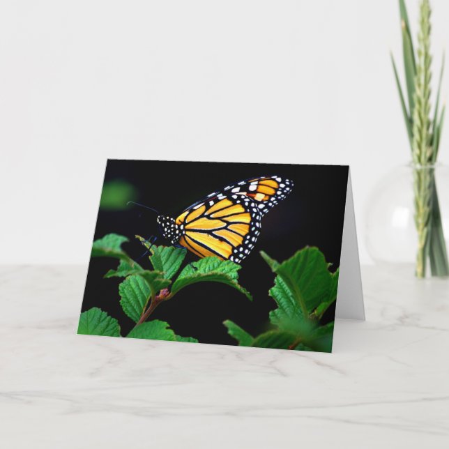 Atemberaubender Monarchschmetterling in Schattenka Karte (Vorderseite)