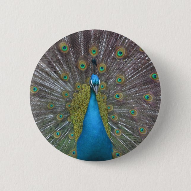 Atemberaubender Pfau Button (Vorderseite)