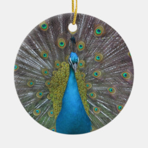 Atemberaubender Pfau Keramikornament
