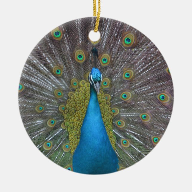 Atemberaubender Pfau Keramikornament (Vorne)