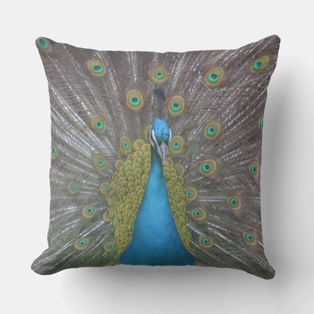 Atemberaubender Pfau Kissen (Vorderseite)