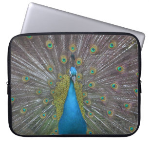 Atemberaubender Pfau Laptopschutzhülle
