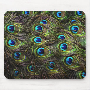 Atemberaubender Pfau mit Federn versehene Mousepad
