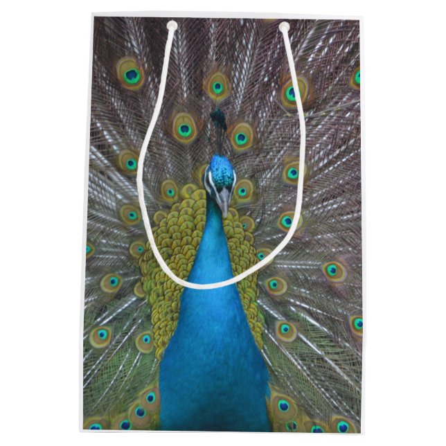 Atemberaubender Pfau Mittlere Geschenktüte (Rückseite)