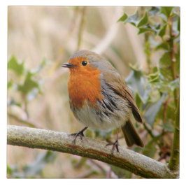 Atemberaubender Robin Fliese