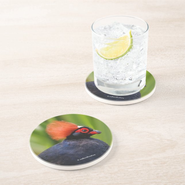 Atemberaubender Rodeldornvogel Getränkeuntersetzer (Seite)