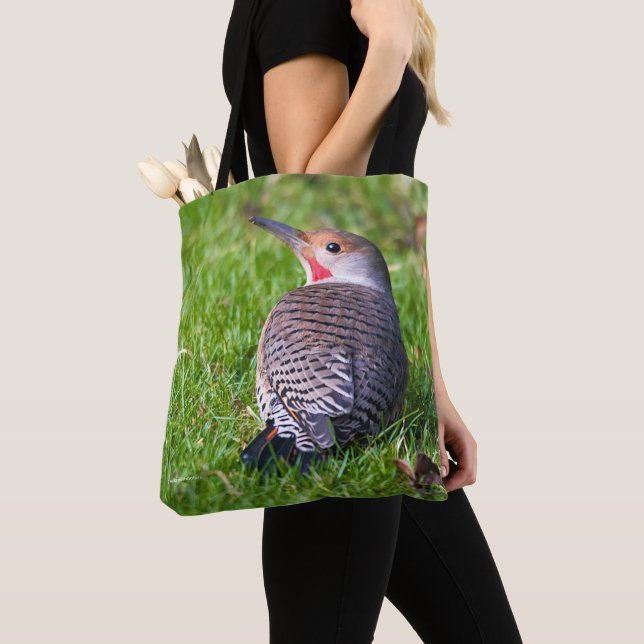 Atemberaubender Rot-Shafted Northern Flicker auf d Tasche (Von Nahem)