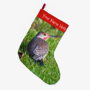 Atemberaubender Rot-Shafted Northern Flicker Woodp Großer Weihnachtsstrumpf