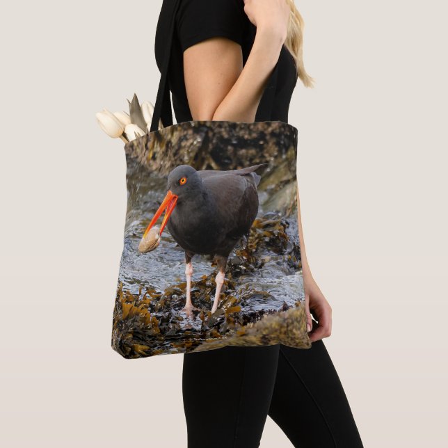 Atemberaubender Schwarzer Oystercatcher mit Clam Tasche (Von Nahem)