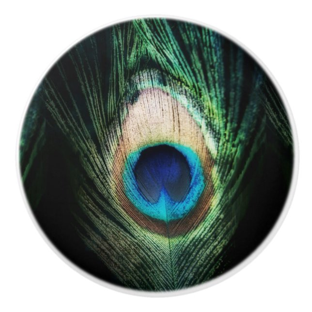 Atemberaubender schwarzer Pfau Keramikknauf (Vorderseite)