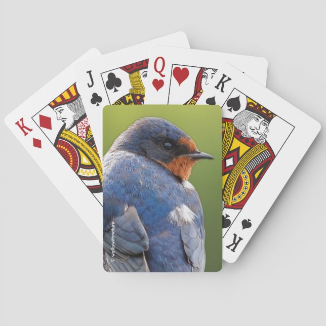Atemberaubender Stallschlauch Songbird auf einer Z Spielkarten (Rückseite)