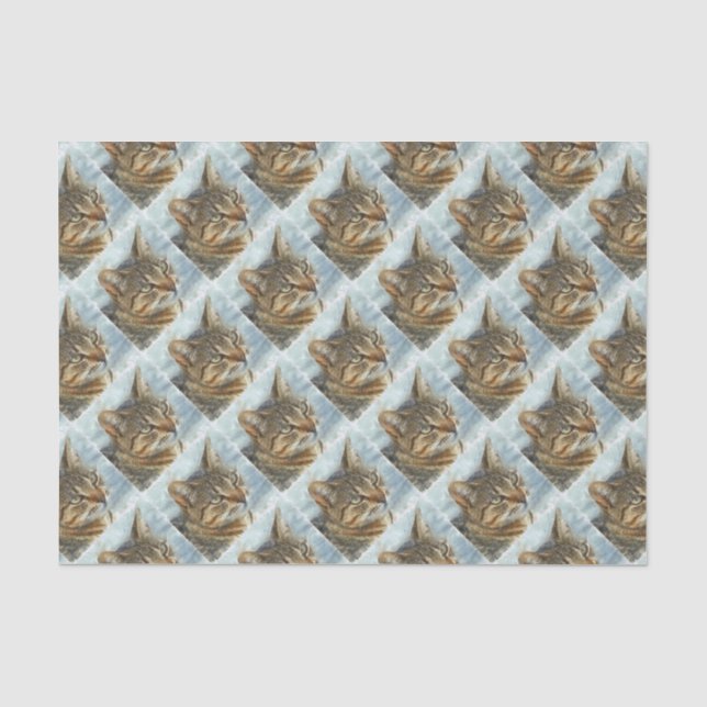Atemberaubender Tabby-Kat Nah Up Graphit Pencil Po Seidenpapier (Vorderseite)