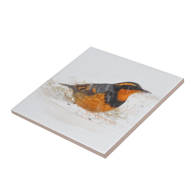 Atemberaubender Varietätsongbird am Schneetag Fliese (Seite)