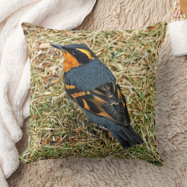 Atemberaubender Varieté-Thrush auf dem Rasen Kissen (Decke)