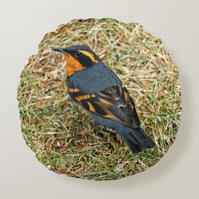 Atemberaubender Varieté-Thrush auf dem Rasen Rundes Kissen (Vorderseite)