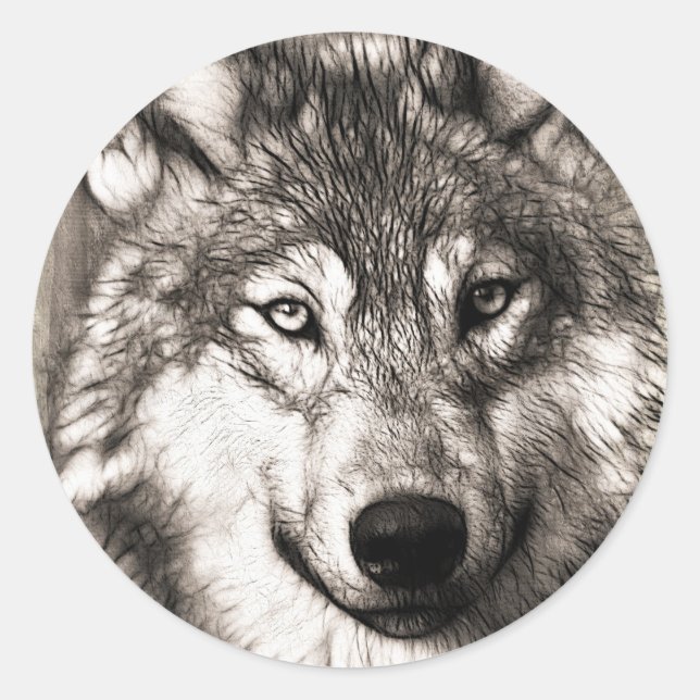 Atemberaubender Wolf Gesicht Foto Druckzubehör the Runder Aufkleber (Vorderseite)