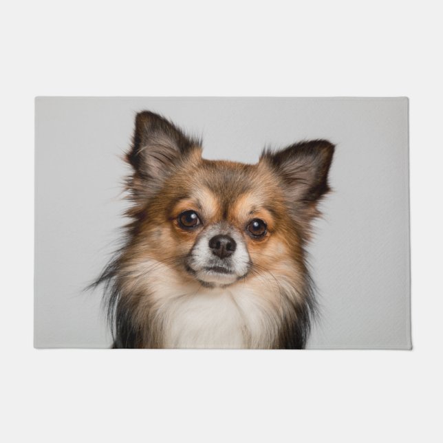 Atemberaubendes Chihuahua-Portrait Fußmatte (Vorderseite)