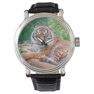 Atemberaubendes Foto eines liegenden Tigers Armbanduhr