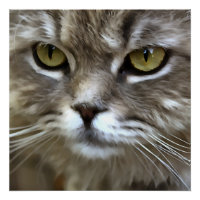 Atemberaubendes graues Katzen künstlerisches Portr