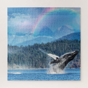 Atemberaubendes Humpback-Wal-Bräunchen