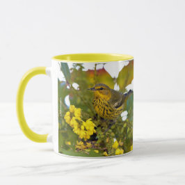 Atemberaubendes Kap May Warbler Songbird auf Mahon Tasse