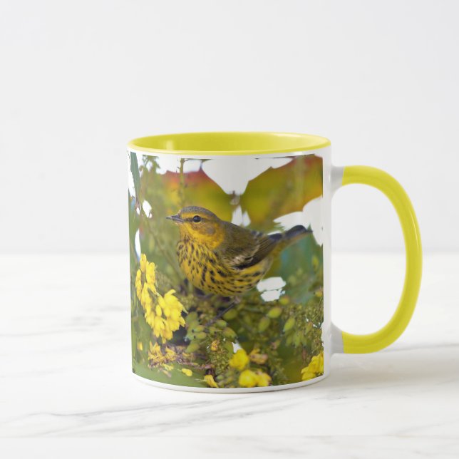 Atemberaubendes Kap May Warbler Songbird auf Mahon Tasse (Rechts)
