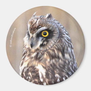 Atemberaubendes Kurz-gezüchtetes Owl in den Marsch Magnet