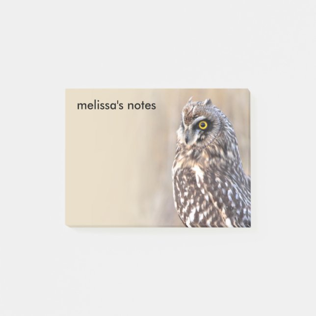 Atemberaubendes Kurz-gezüchtetes Owl in den Marsch Post-it Klebezettel (Vorderseite)