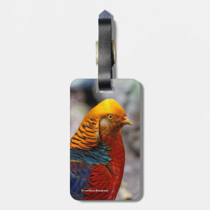 Atemberaubendes Profil eines roten Golden Pheasant Gepäckanhänger