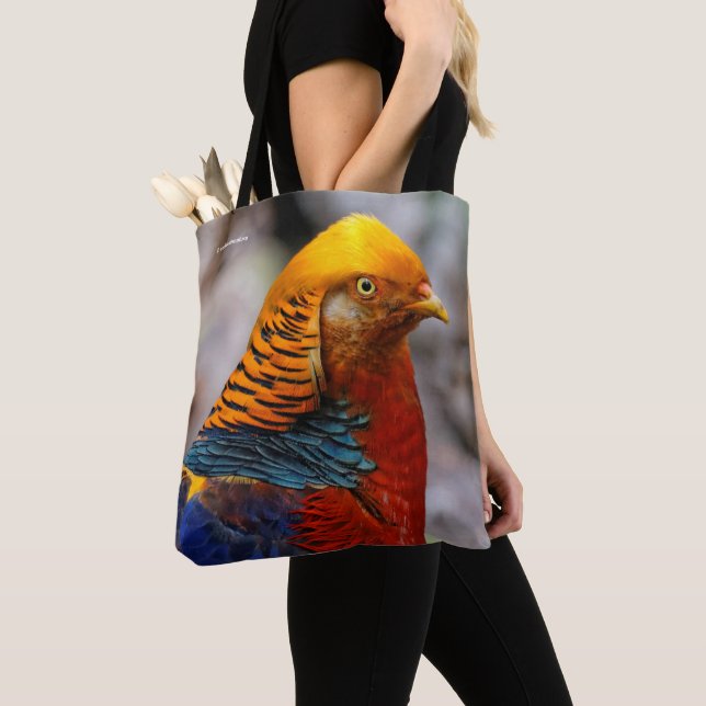 Atemberaubendes Profil eines roten Golden Pheasant Tasche (Von Nahem)