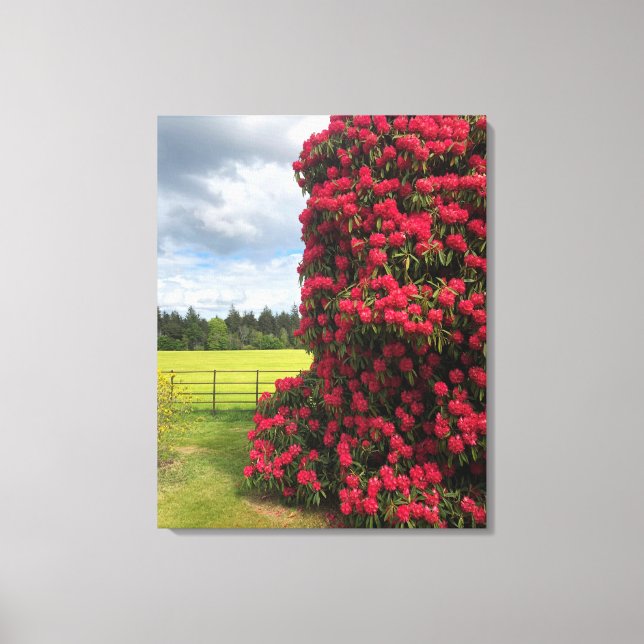 Atemberaubendes Rhododendron und Landschaftlicher  Leinwanddruck (Vorderseite)