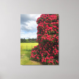 Atemberaubendes Rhododendron und Landschaftlicher Leinwanddruck