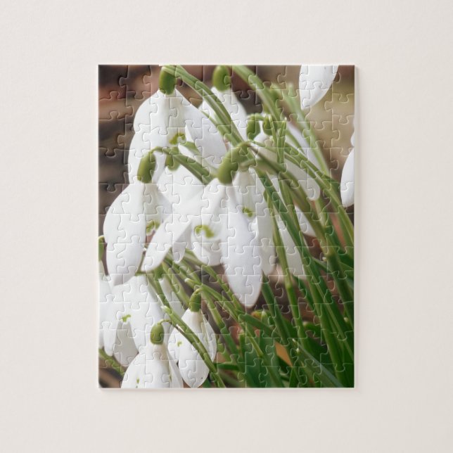 Atemberaubendes Snowdrops (Vertikal)
