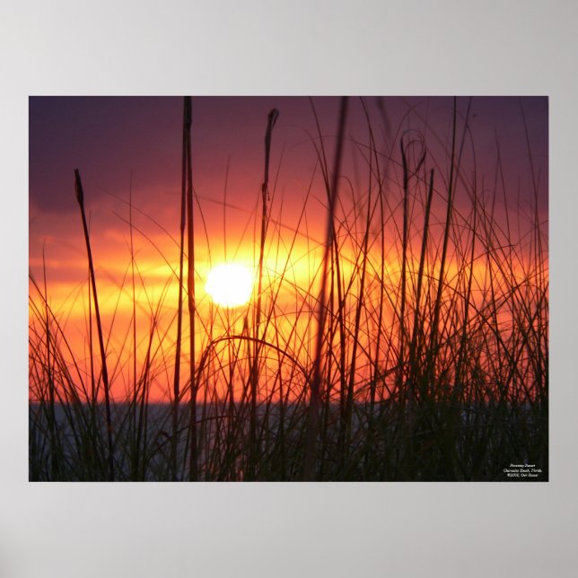 Atemberaubendes Sonnencreme Poster (Vorne)