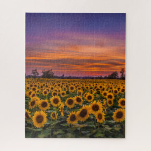 Atemberaubendes Sonnenuntergang-Puzzlespiel