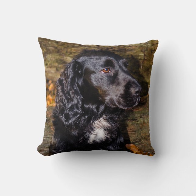 Atemberaubendes Spanielkissen Kissen (Vorderseite)