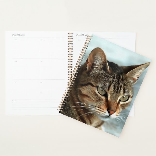 Atemberaubendes Tabby Cat Close Up Kunstportrait Planer (Anzeige)