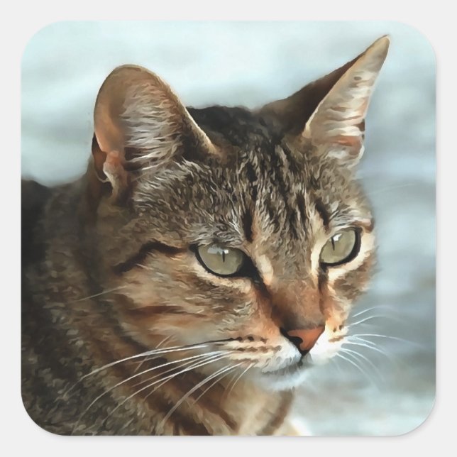 Atemberaubendes Tabby Cat Close Up Kunstportrait Quadratischer Aufkleber (Vorderseite)
