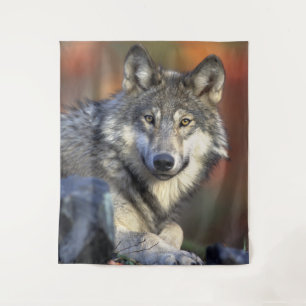 Atemberaubendes Wolfsportrait Wandteppich