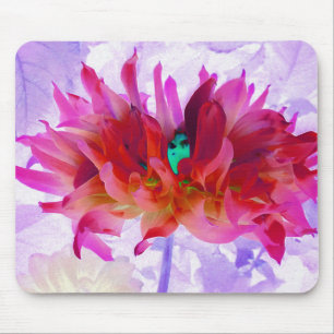 Atemberot rote und heißrosa Kaktus-Dahlie Mousepad