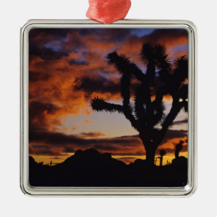 Atemosphärischer Sonnenaufgang im Joshua Tree Nati Silbernes Ornament