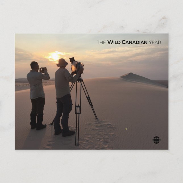 Athabasca Sand Dunes Postkarte (Vorderseite)